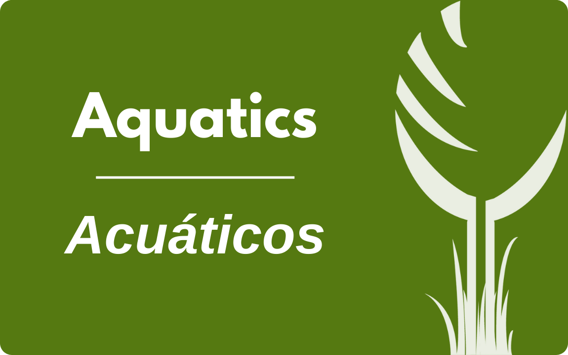 Aquatics Button