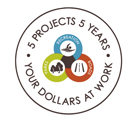 5 Projects 5 Years logo