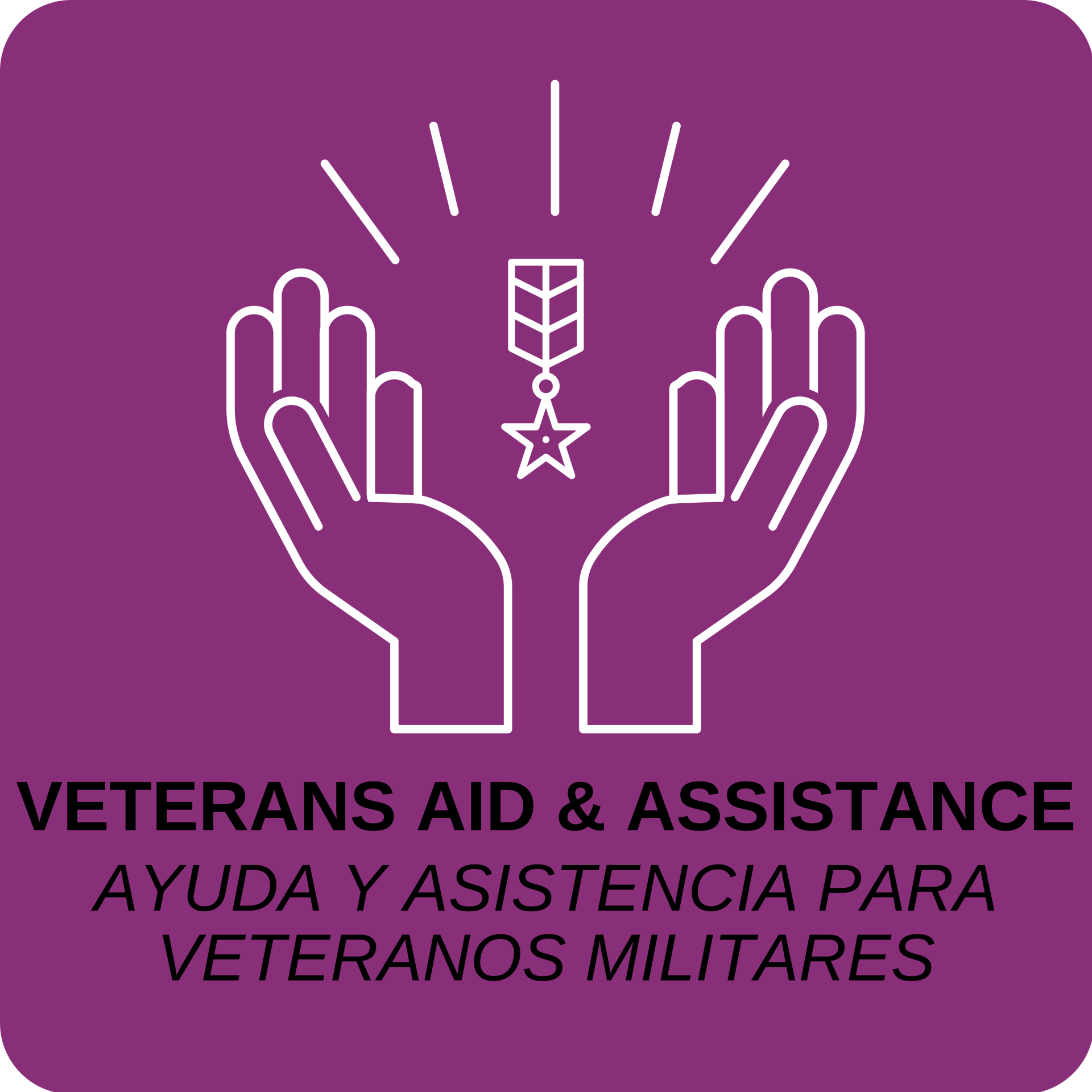 Veterans Aid and Assistance