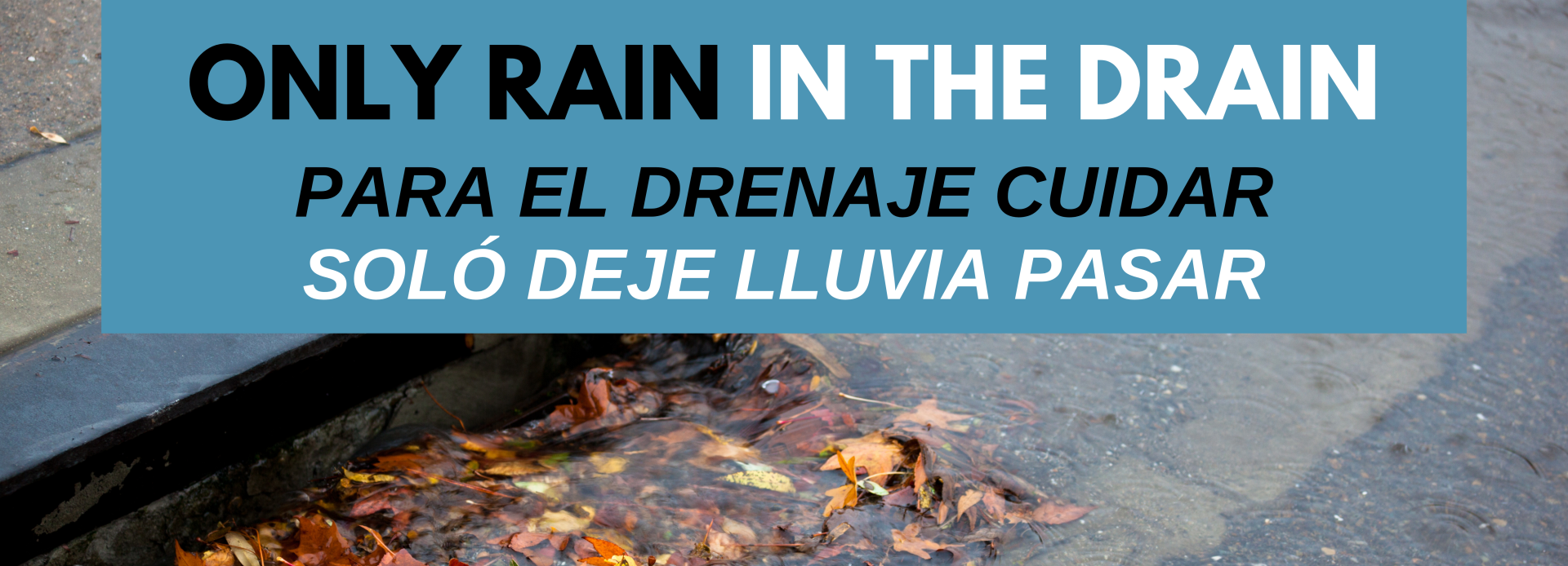 Website Header Stormwater page: Only Rain in the Drain