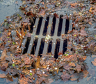 Fall Stormwater thumb