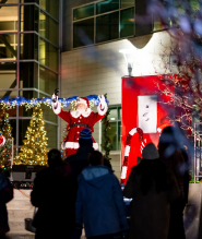 Tree Lighting