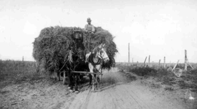 Nylin family hauling hay 1917